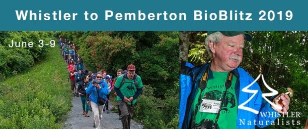 61610254_2213181402102367_4551903896187961344_n