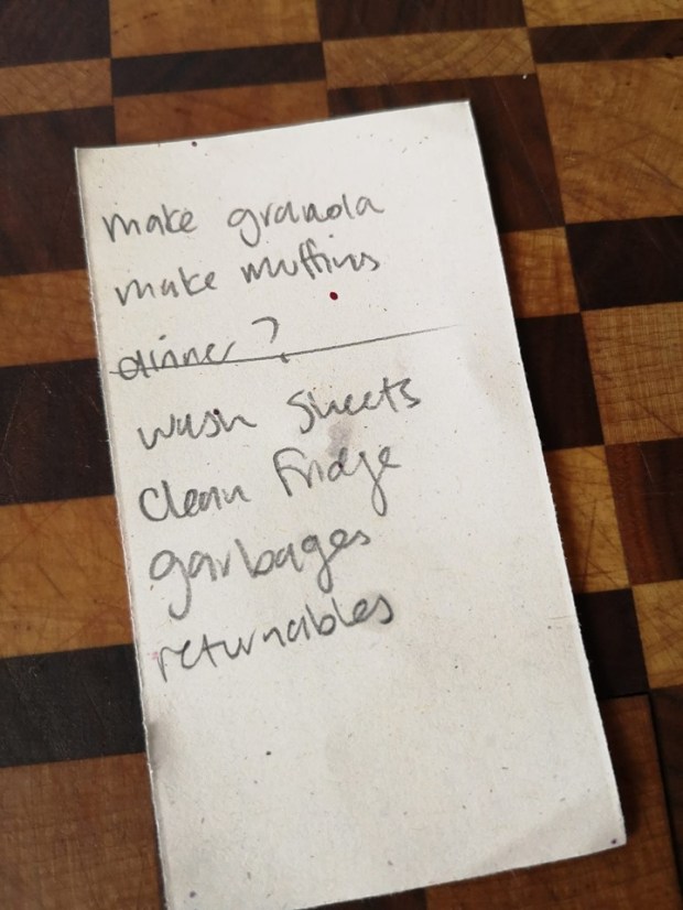 64963304_10161855631085640_7177620032199852032_n