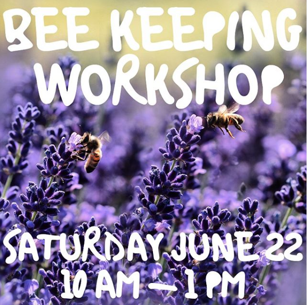 Screen Shot 2019-06-17 at 4.11.15 PM