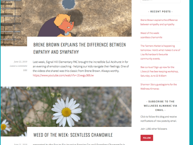 Screen Shot 2019-06-25 at 10.41.11 PM