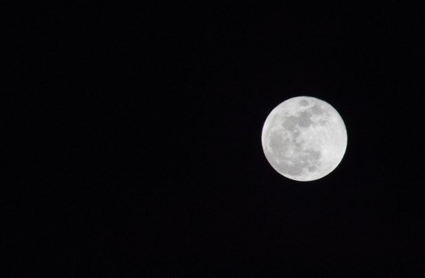 shannon-hope-589349-unsplash