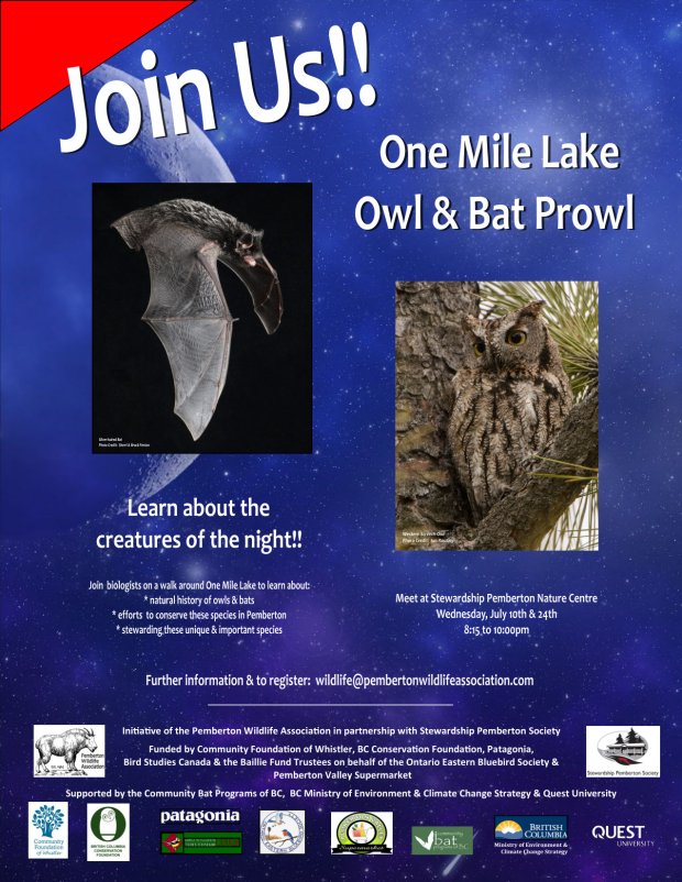 634713e3-7faf-4ead-914e-a1aa4044ed57-1