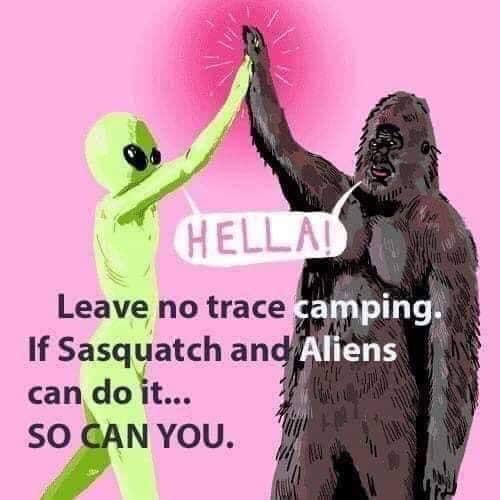 64528142_2370021936395036_8212327625750740992_n