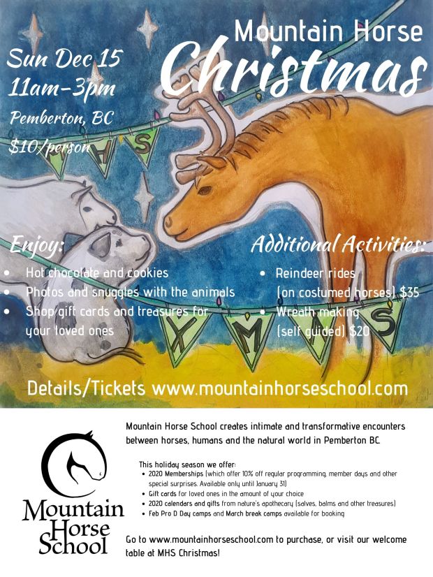 MHS XMAS full poster