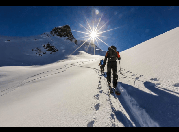 Screen Shot 2019-12-17 at 11.43.10 AM