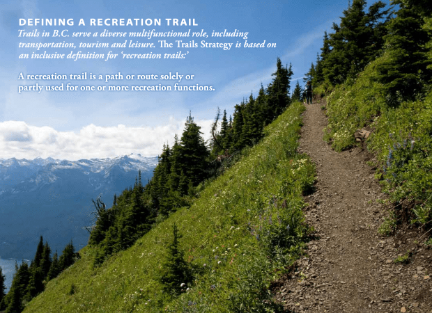 Screen Shot 2020-02-04 at 12.31.52 PM