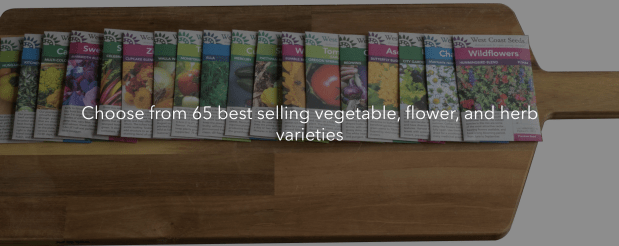 Screen Shot 2020-02-12 at 9.56.23 AM