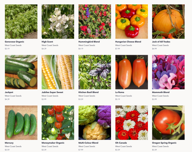 Screen Shot 2020-02-12 at 9.57.10 AM