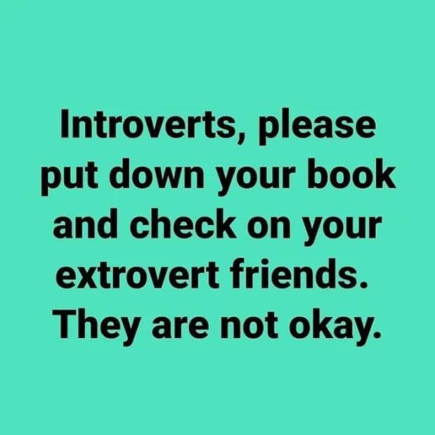 90238084_3047151952042125_584251363416866816_n