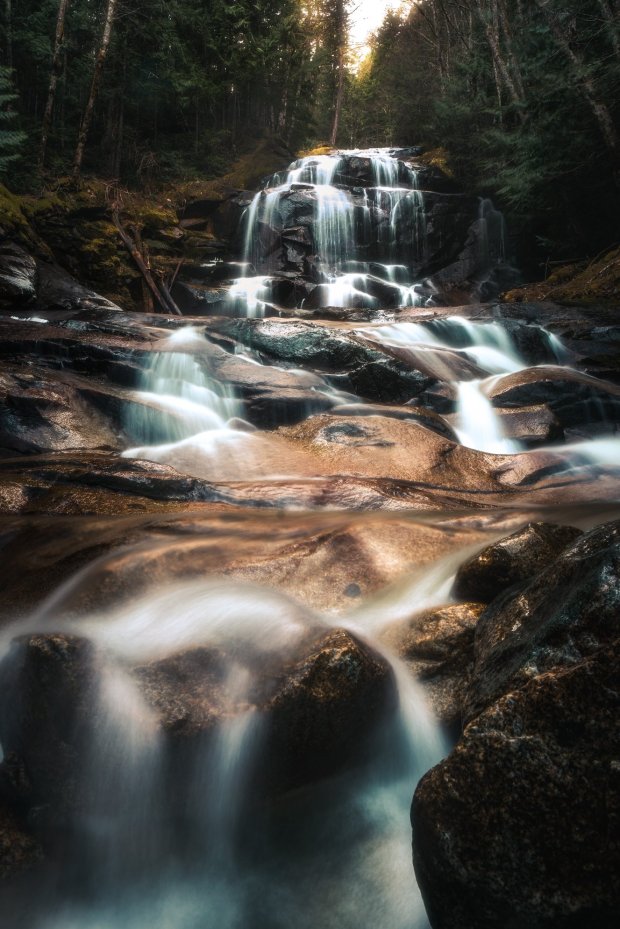 90520286_10157157200255496_6135740320006012928_o