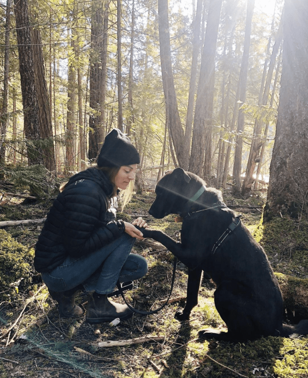 Screen Shot 2020-03-17 at 11.35.24 AM