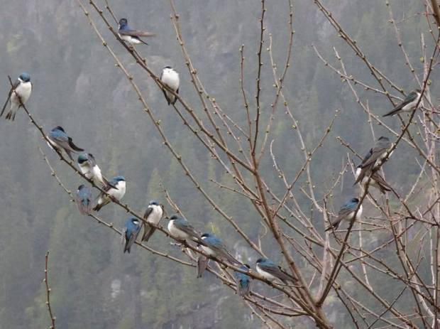 94362988_4449895155036288_8979721582989541376_n