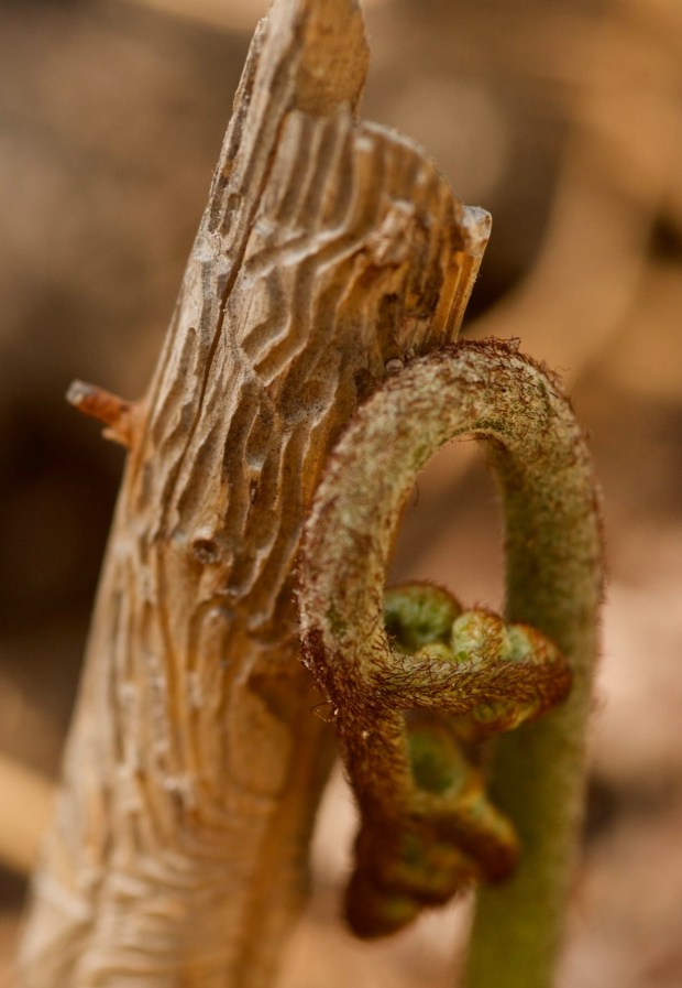 95896112_2607964612790954_5133906938714652672_o