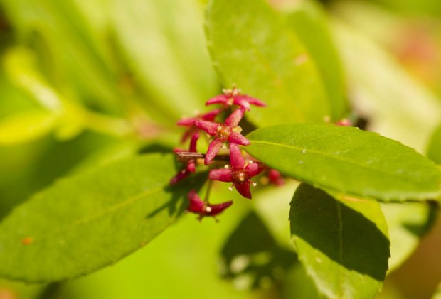 97990801_2607964659457616_7475620110330232832_o