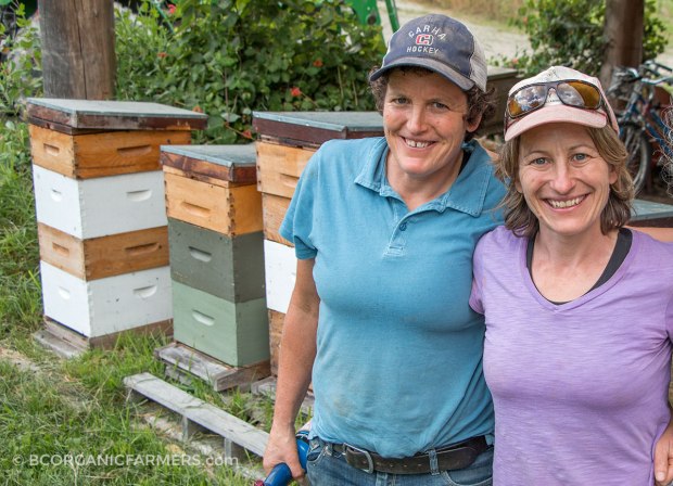 helmers-organic-farm-1