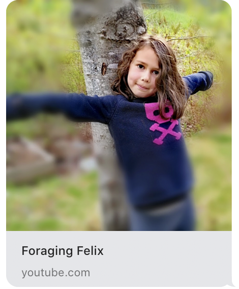 Screen Shot 2020-05-04 at 9.31.17 AM