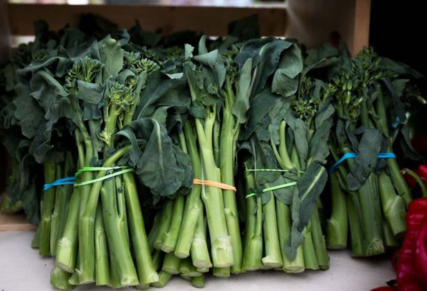 106414575_3023827187652608_216278186789254569_o