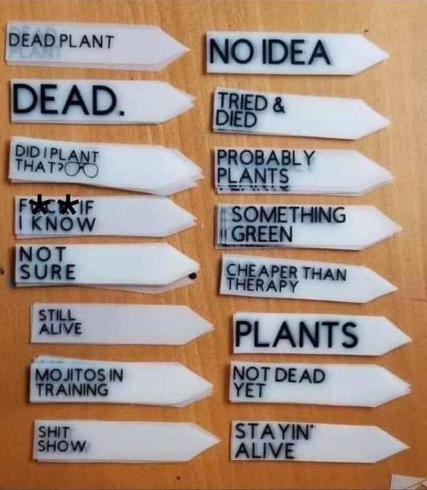 96514974_1967014496776371_8047746665106374656_n