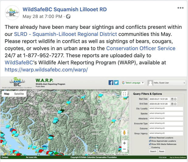 Screen Shot 2020-06-15 at 1.52.39 PM