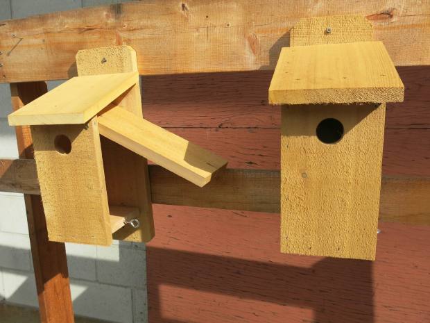 Nest Boxes