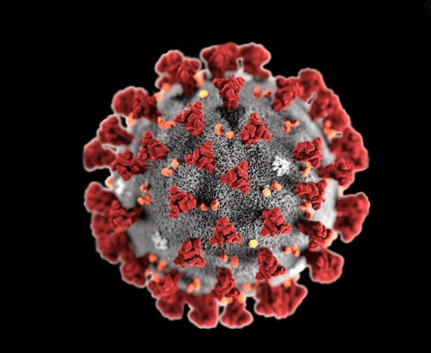 Screen Shot 2020-07-22 at 2.14.18 PM